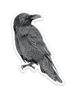 Raven Magnet - Image 2