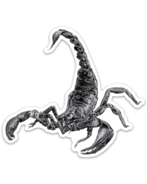 Scorpion Magnet - Image 2