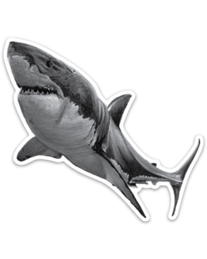 Shark Magnet - Image 2