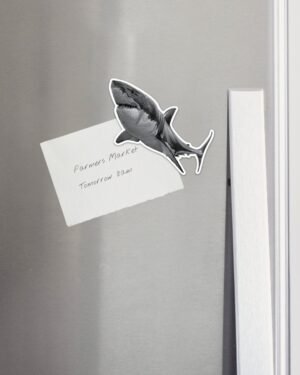 Shark Magnet