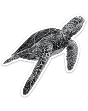 Turtle Magnet - Image 2