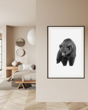 Bear Poster