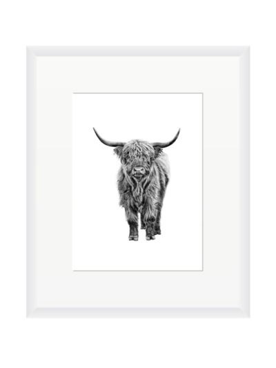 Picture Frame - White