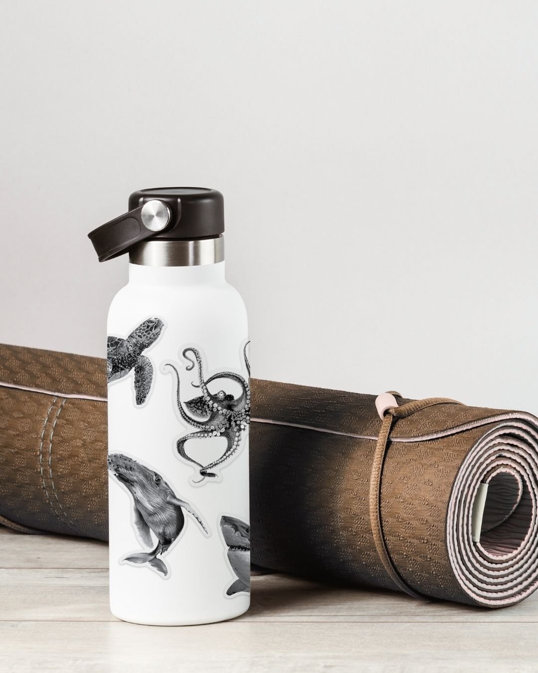 Assiniboine Notebook