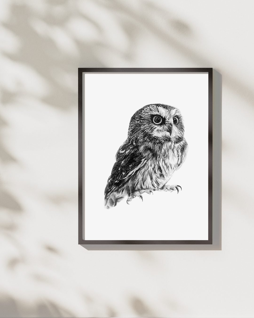 Assiniboine Notebook