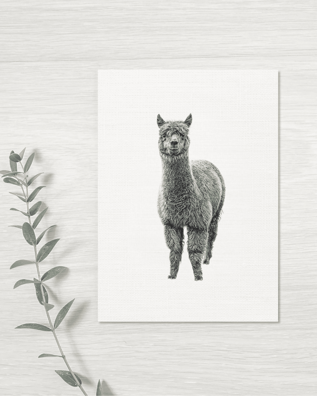 Alpaca - Greeting Card - Plant Alpaca - Greeting Card