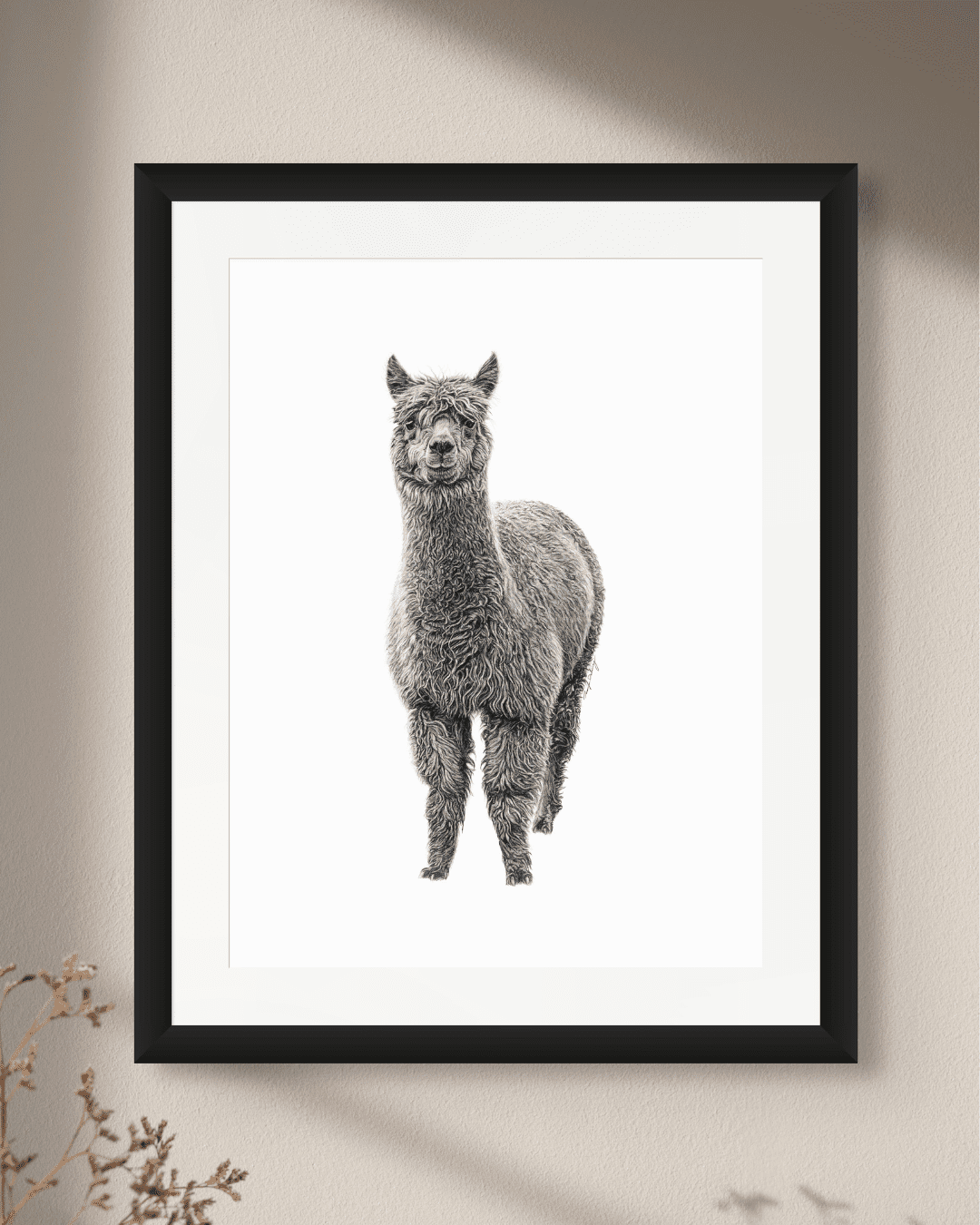 Alpaca - Art Print