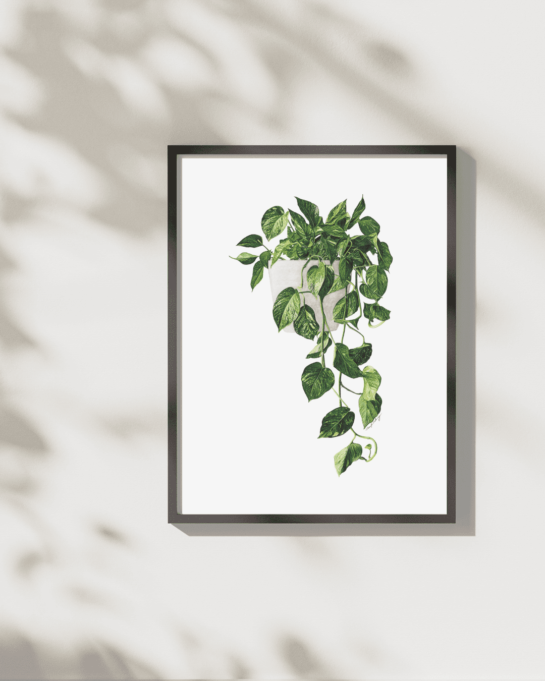 Pothos - Art Print