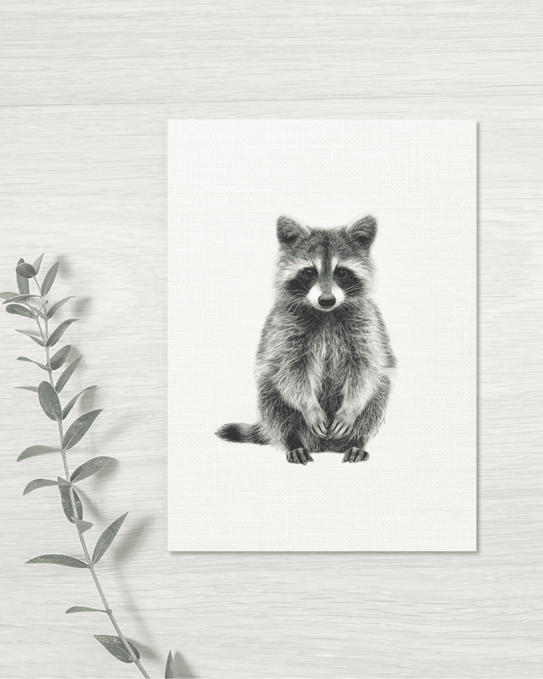 Raccoon - Greeting Card - Plant Raccoon - Greeting Card