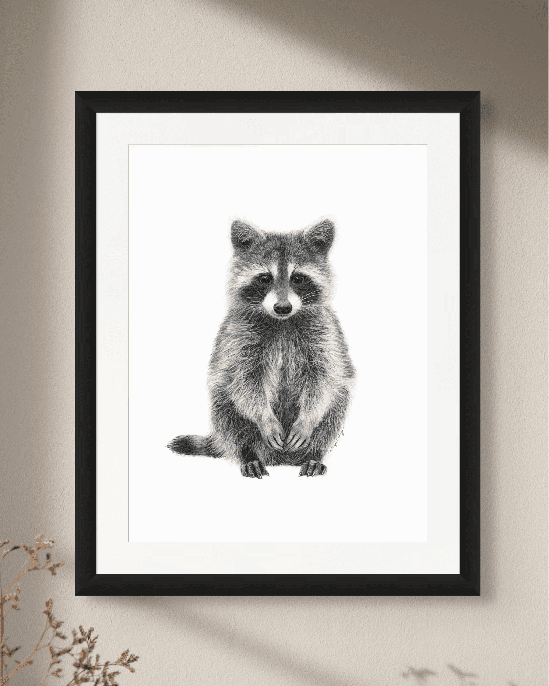 Raccoon - Art Print