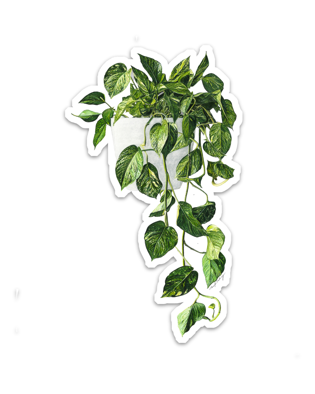 Pothos Magnet - Image 3