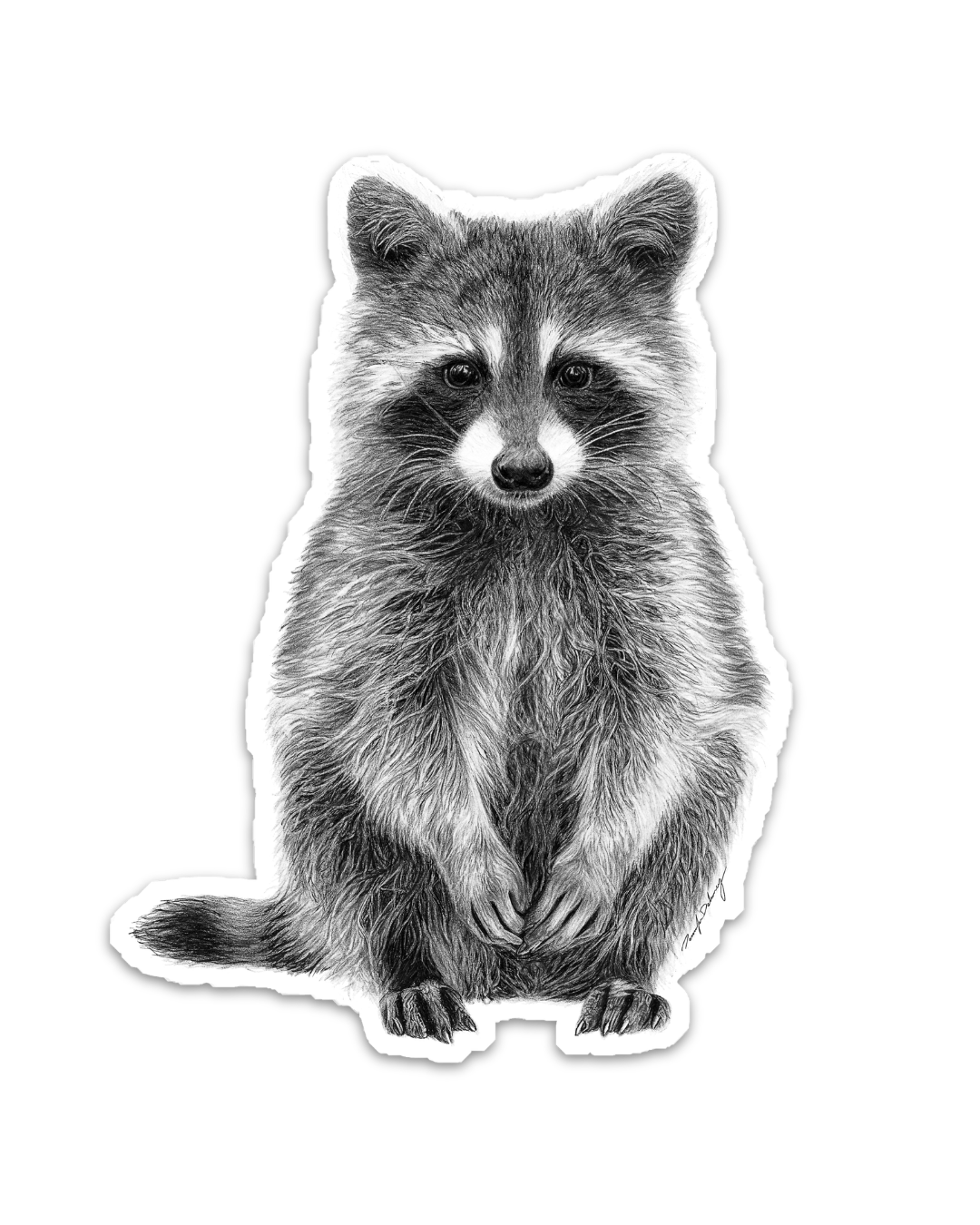 Raccoon Magnet - Image 3