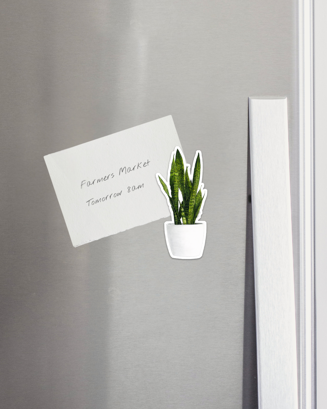 Snake Plant - magnet - Fridge Snake Plant Magnet